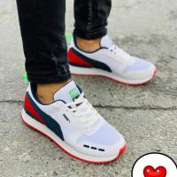 Puma 1
