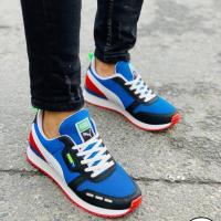 Puma 2